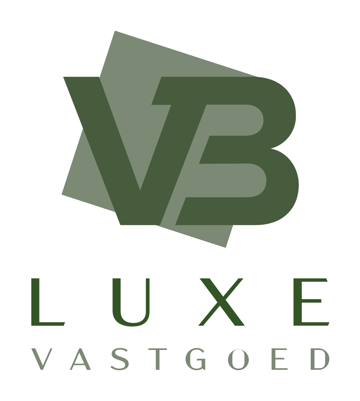 VB Luxe logo